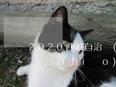2020西藏自治區(qū)交通事故死亡賠償標(biāo)準(zhǔn)是什么