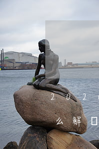 2020貸款逾期截圖(拍拍貸2020年怎么解決逾期貸款)