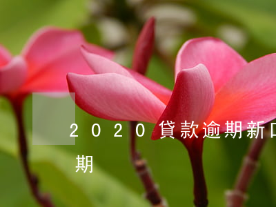 2020貸款逾期新口子(2020年貸款逾期)