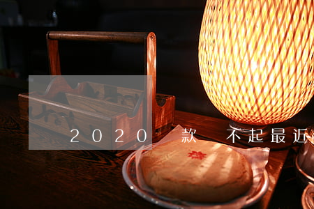 2020貸款還不起（最近貸款還不起）