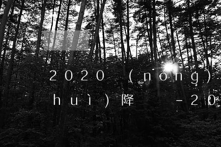 2020農(nóng)行信用卡逾期會(huì)降額嗎-2020農(nóng)行信用卡逾期會(huì)降額嗎知乎