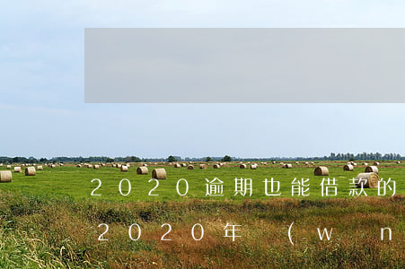 2020逾期也能借款的網(wǎng)貸(2020年網(wǎng)貸逾期新規(guī)定)