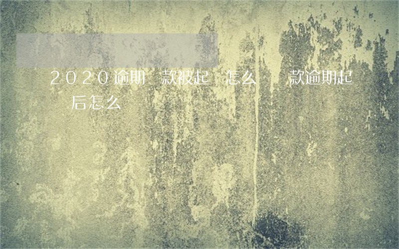 2020逾期貸款被起訴怎么辦(貸款逾期起訴后怎么辦)