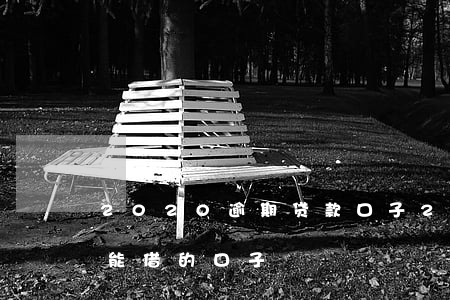 2020逾期贷款口子(2020严重逾期还能借的口子)