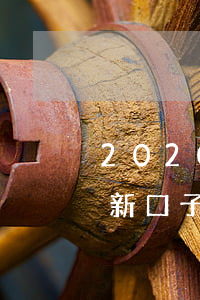 2020逾期贷款的口子(2020年贷款最新口子)