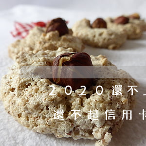 2020還不上信用卡怎么處理-2020還不起信用卡了
