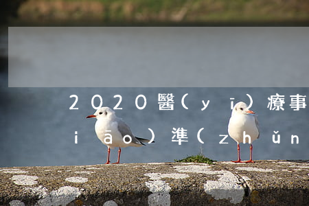 2020醫(yī)療事故傷殘鑒定標(biāo)準(zhǔn)是怎樣的