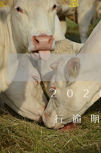 2020銀行逾期多久會(huì)起訴 銀行逾期訴訟時(shí)效