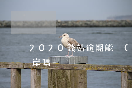 2020錢站逾期能強(qiáng)制上岸嗎-
