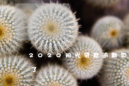 2020阳光贷款逾期(欠阳光贷款逾期一年了)