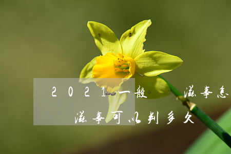 2021一般尋釁滋事怎么處理(2021尋釁滋事可以判多久)