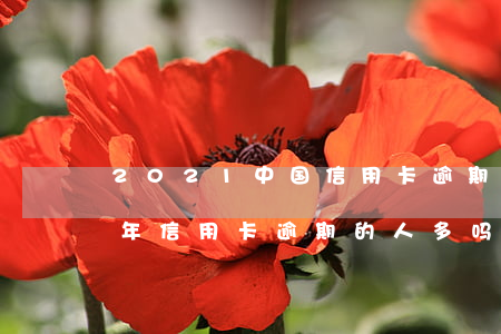 2021中国信用卡逾期的人多吗(2021年信用卡逾期的人多吗)