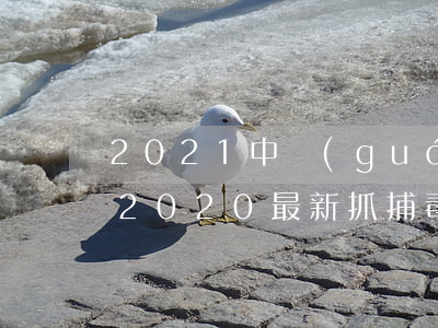 2021中國(guó)一共抓了多少毒販(2020最新抓捕毒販消息)