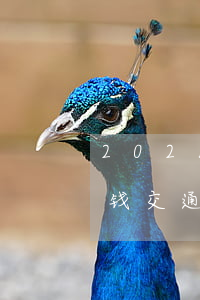 2021交通事故对方全责8级伤残赔多少钱(交通事故十级伤残赔偿标准2021)