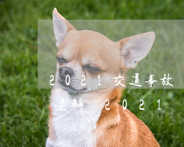 2021交通事故賠償案代理詞(交通事故司法解釋2021)