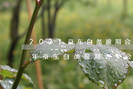 2021京东白条逾期会上征信吗(2020年京东白条逾期会不会影响个人征信)
