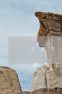 2021京东金条逾期的人多吗-京东金条逾期会有什么影响吗?京东金条逾期攻略!