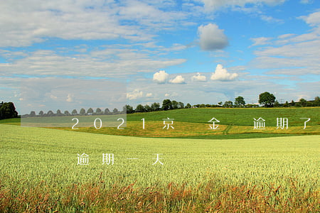 2021京東金條逾期了(2021京東白條逾期一天)