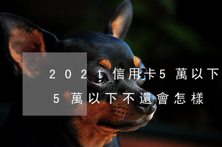 2021信用卡5萬以下無力償還-信用卡5萬以下不還會怎樣