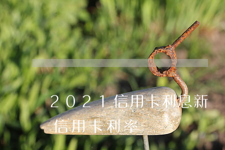 2021信用卡利息新規(guī)(銀行卡信用卡利率)