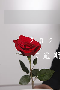 2021信用卡逾期新政策(2021年信用卡逾期立案標準)
