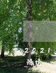 2021信用卡逾期新規(guī)定的特殊情況-2021信用卡逾期新規(guī)定的特殊情況有哪些