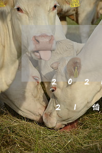2021借唄逾期可以主動打電話嗎-2021借唄逾期可以主動打電話嗎知乎