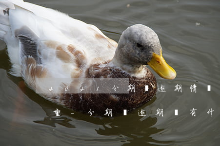 2021分期樂逾期情況有多嚴(yán)重-分期樂逾期會有什么后果?,有獎問答