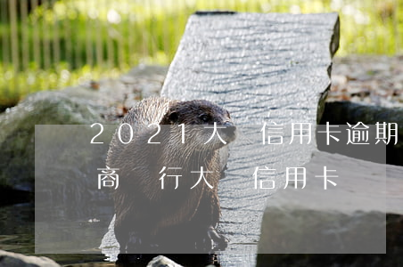 2021大額信用卡逾期怎么協(xié)商(銀行大額信用卡)