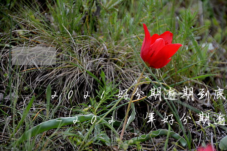 2021好分期逾期到底多嚴(yán)重-2021年好分期逾期了怎么辦