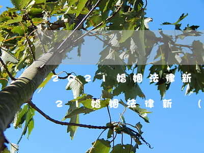 2021婚姻法律新規(guī)離婚(2021婚姻法律新規(guī)離婚財(cái)產(chǎn)分割)