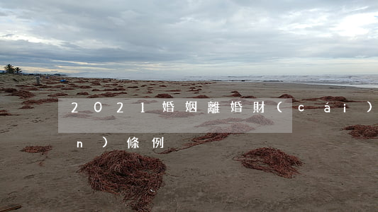 2021婚姻離婚財(cái)產(chǎn)條例