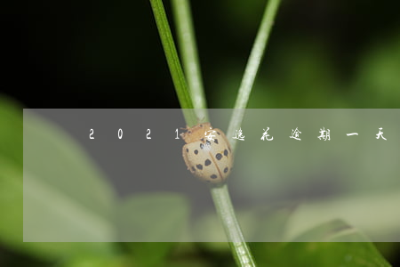 2021安逸花逾期一天會怎樣-