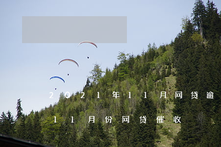 2021年11月网贷逾期还打通讯录吗-11月份网贷催收