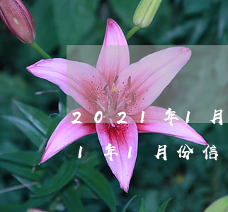 2021年1月份信用卡逾期多少-2021年1月份信用卡逾期多少天