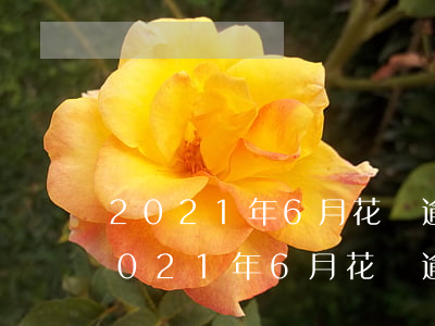 2021年6月花唄逾期圖片1000-2021年6月花唄逾期圖片