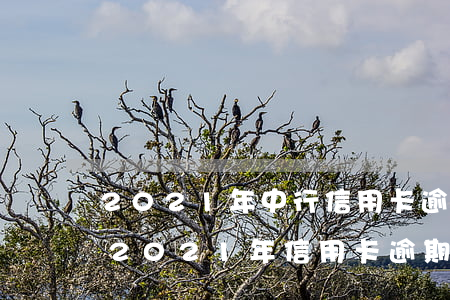 2021年中行信用卡逾期時(shí)間(2021年信用卡逾期情況)