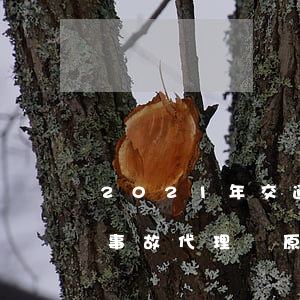 2021年交通事故代理詞(2021年交通事故代理詞原告)