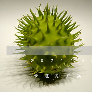 2021年交通信用卡逾期新法规（交通信用卡逾期 立案）
