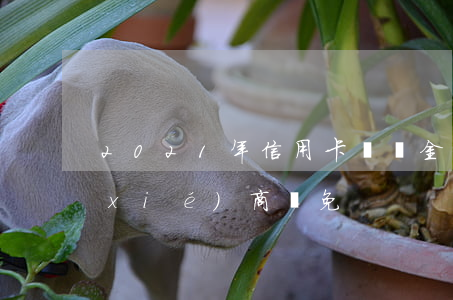 2021年信用卡滯納金（信用卡滯納金協(xié)商減免）