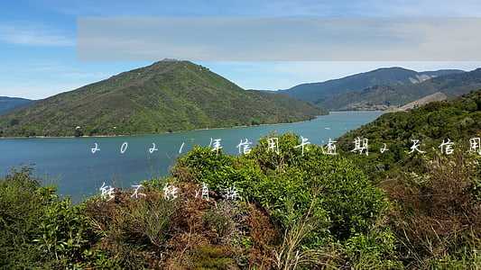 2021年信用卡逾期2天（信用卡逾期兩天能不能消除）
