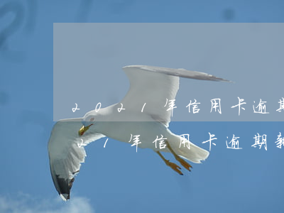 2021年信用卡逾期下半年最新政策（2021年信用卡逾期新政策文件）