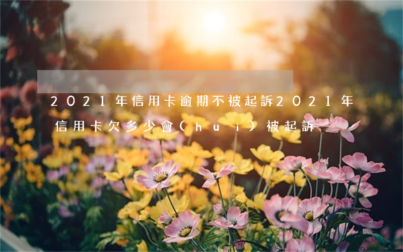 2021年信用卡逾期不被起訴 2021年信用卡欠多少會(huì)被起訴