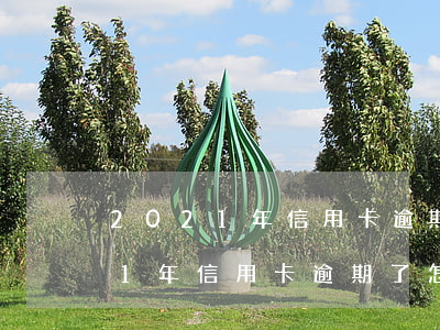2021年信用卡逾期了怎么處理-2021年信用卡逾期了怎么處理的