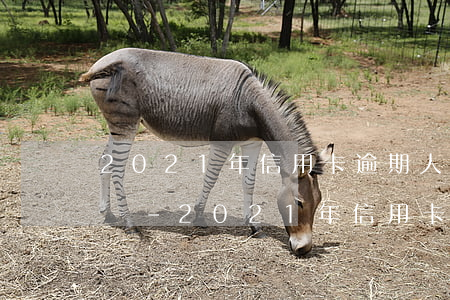 2021年信用卡逾期人數(shù)上億嗎-2021年信用卡逾期人數(shù)上億嗎是真的嗎