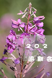 2021年信用卡逾期会上门催收吗（信用卡逾期会走访几次家人）