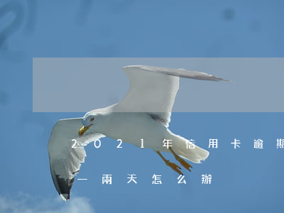 2021年信用卡逾期兩天（信用卡基本逾期一兩天怎么辦）