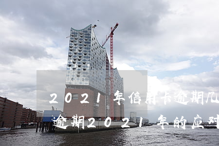 2021年信用卡逾期几天，如何避免信用卡逾期：2021年的应对策略