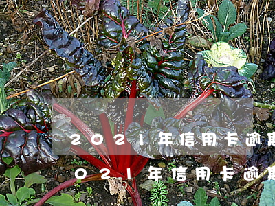 2021年信用卡逾期各大銀行新政策-2021年信用卡逾期各大銀行新政策是什么