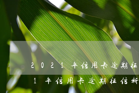 2021年信用卡逾期征信新法规-2021年信用卡逾期征信新法规有哪些